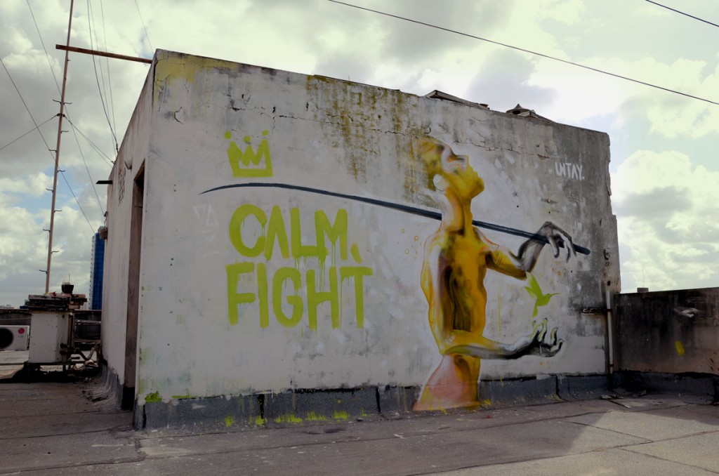 calm_fight01b
