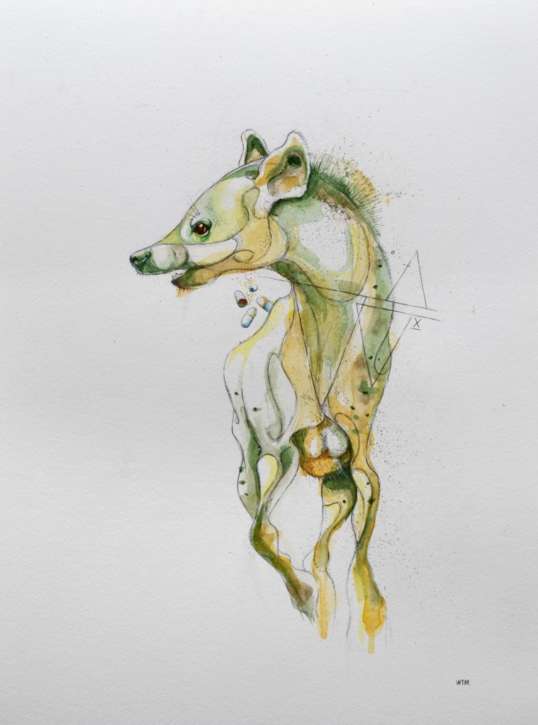 water_animal_01