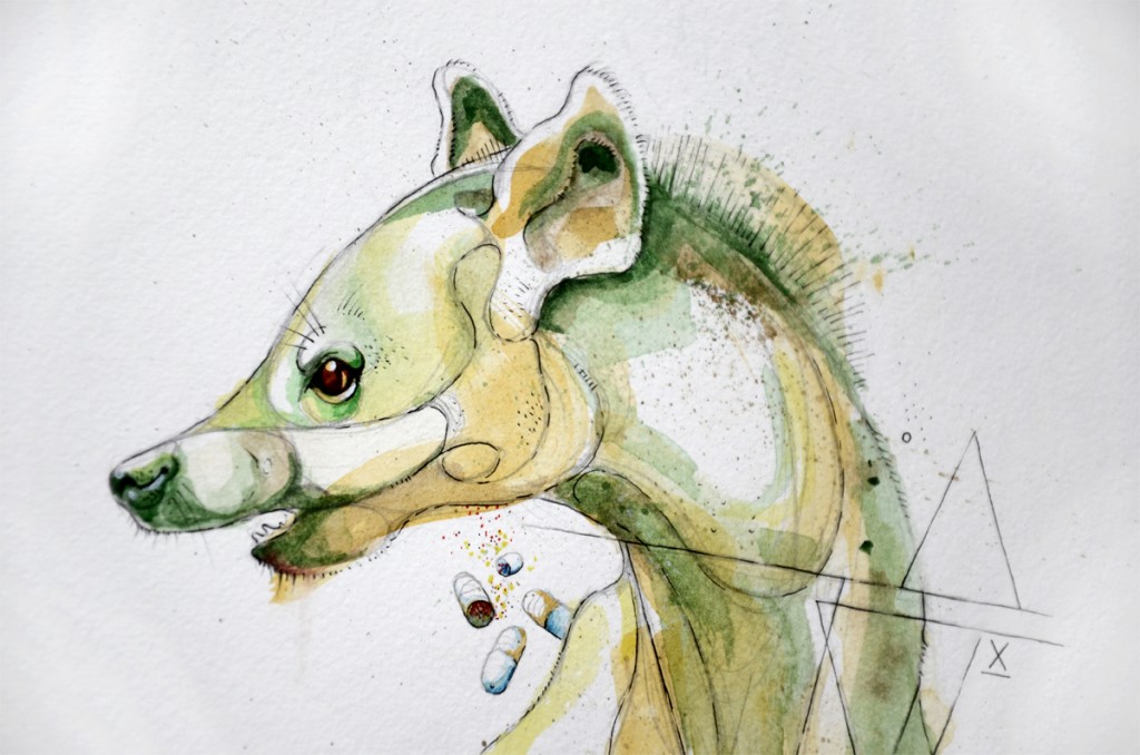 water_animal_01a