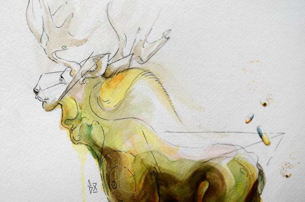 water_animal_02a